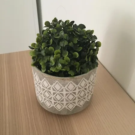 Hostel Amelia's House