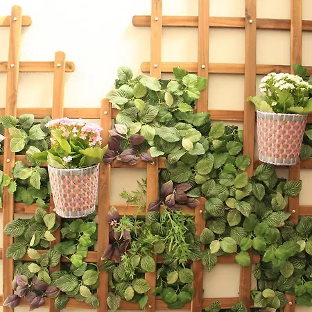 Amelia's House * ブラガ