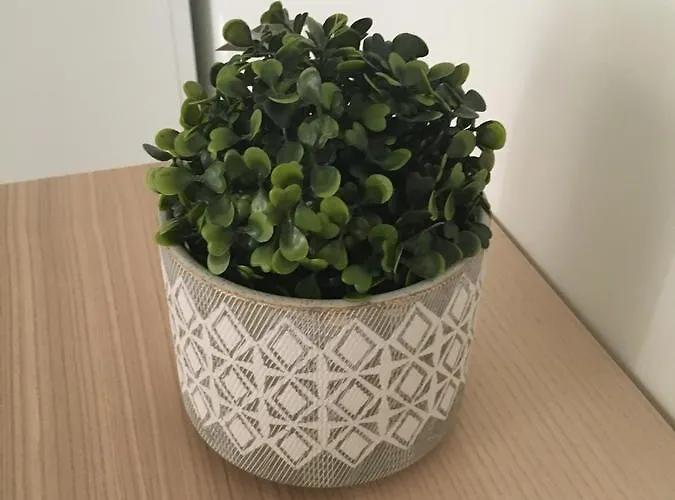 Hostel Amelia's House